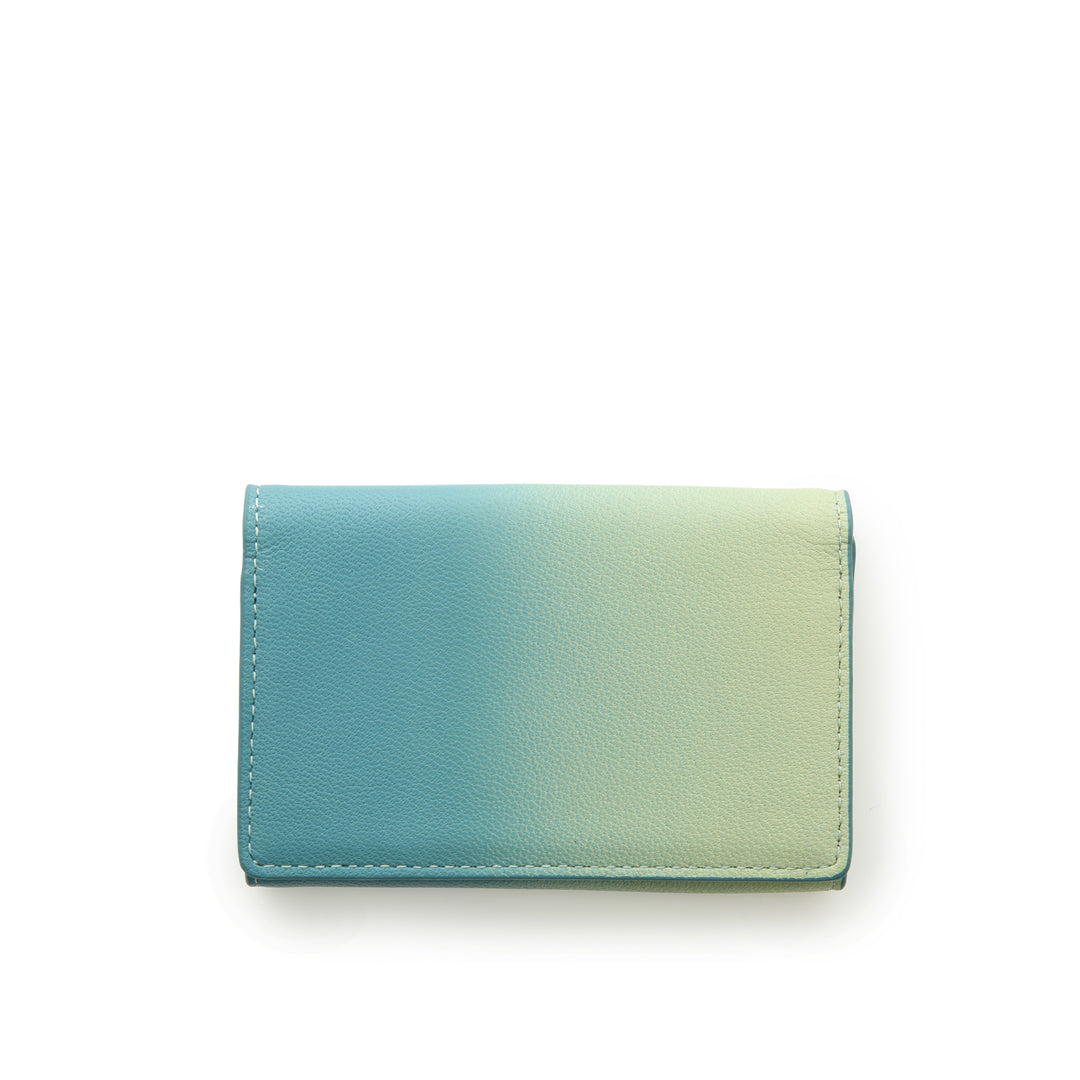 Irodori Card Case