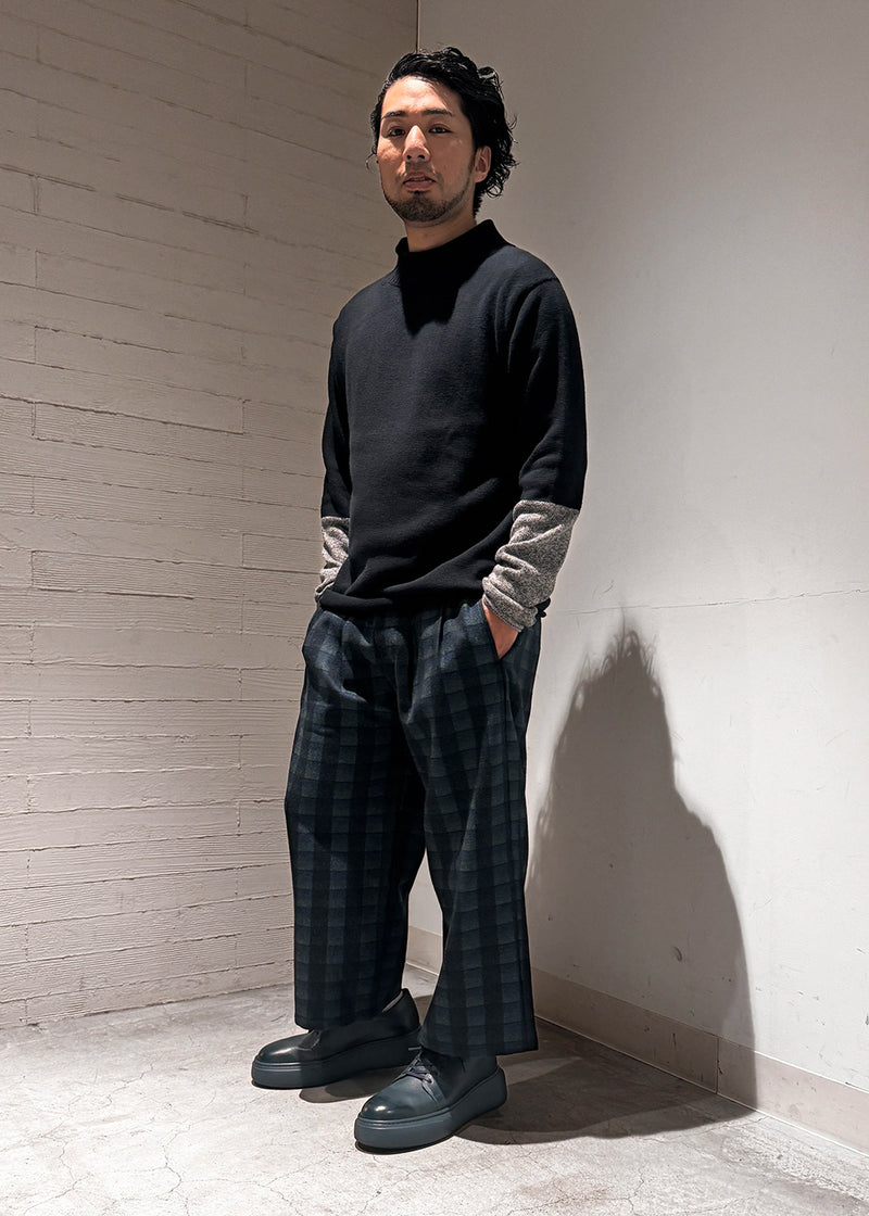 ms10020_南本_1